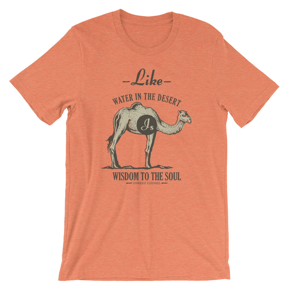 Like Water In The Desert Is Wisdom To The Soul - Light - Short-Sleeve Unisex T-Shirt - I Wear The Words Of Life